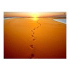 Fotótapéta - Tengerparti homokban lépkedve