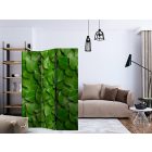 Paraván - Zöld színű levelek