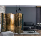 Paraván - Földöntúli fény II