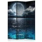 Paraván - Kékesen a sötétben