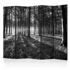 Paraván - Az erdő feketén, fehéren II