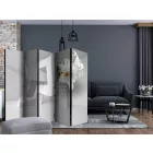 Paraván - Csavart illúzió II