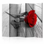 Paraván - Eldobott rózsa II