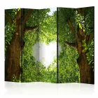 Paraván - Szerelem térköz II