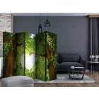 Paraván - Szerelem térköz II