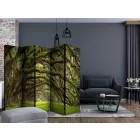 Paraván - Fa ösvény II