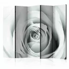 Paraván - Rózsa álom II