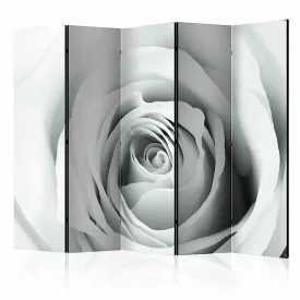 Paraván - Rózsa álom II