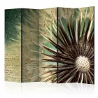 Paraván - Fókuszálás a pitypangra II