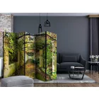 Paraván - Fedett lugas II