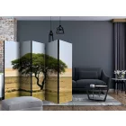 Paraván - Etosha Nemzeti Park, Namíbia II