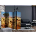 Paraván - Sivatagi táj, Namíbia II