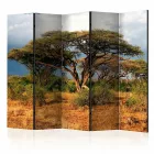 Paraván - Samburu Nemzeti Rezervátum, Kenya II