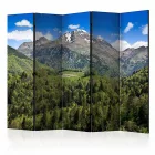 Paraván - Nyári hegyi táj II