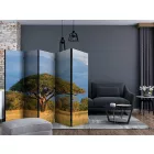 Paraván - Afrikai akác fa, Hwange Nemzeti Park II