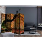 Paraván - Ősz, erdő és levelek II