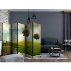 Paraván - Színes mező II