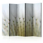 Paraván - Pitypang mező II