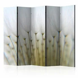 Paraván - Pitypang mező II