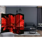 Paraván - Piros gerbera virág II