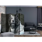 Paraván - Bengáli tigris az állatkertben II