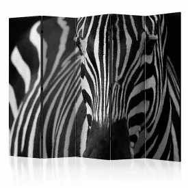 Paraván - Fekete és fehér csíkos zebra II