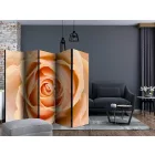 Paraván - Őszibarack színű rózsa II