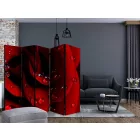 Paraván - Vörös rózsa vízcseppekkel II