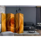 Paraván - Sárga rózsa - a barátság jelképe II