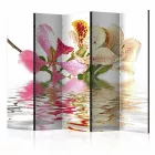 Paraván - Trópusi virágok - orchideafa (bauhinia) II