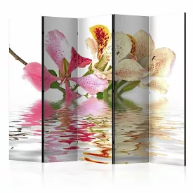 Paraván - Trópusi virágok - orchideafa (bauhinia) II