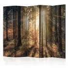 Paraván - Őszi erdő IV