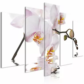 Kép - Elbűvölő orchidea