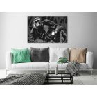 Kép - Zenét hallgató majom (szürke)