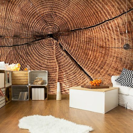 Fotótapéta - Fatörzs keresztmetszet