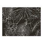 Fotótapéta - Fekete-fehér virágos háttér