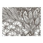 Fotótapéta - Fekete-fehér mezei virágok