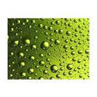 Fotótapéta - Vízcseppek az üveg sör