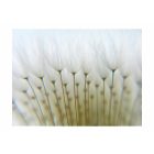 Fotótapéta - A nagy tábla