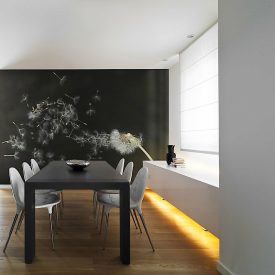 Fotótapéta - Szellő szárnyán