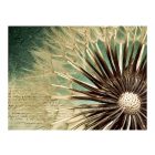 Fotótapéta - Közeledés