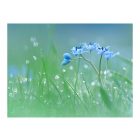 Fotótapéta - Hajnali ébredés