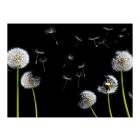 Fotótapéta - Az ég felé