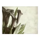 Fotótapéta - Borús hangulatban