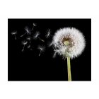 Fotótapéta - Az ég felé 2