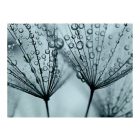 Fotótapéta - Eső áztatva