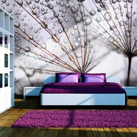 Fotótapéta - Eső áztatva 2