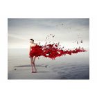 Fotótapéta - Piros szépség