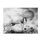 Fotótapéta - Egyszarvú