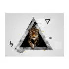 Fotótapéta - Wild absztrakció